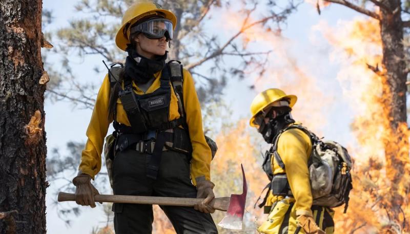 Анджелина Джоли пустила пожить пострадавших от пожаров друзей