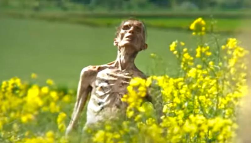 Киллиана Мерфи не будет в сиквеле "28 лет спустя"