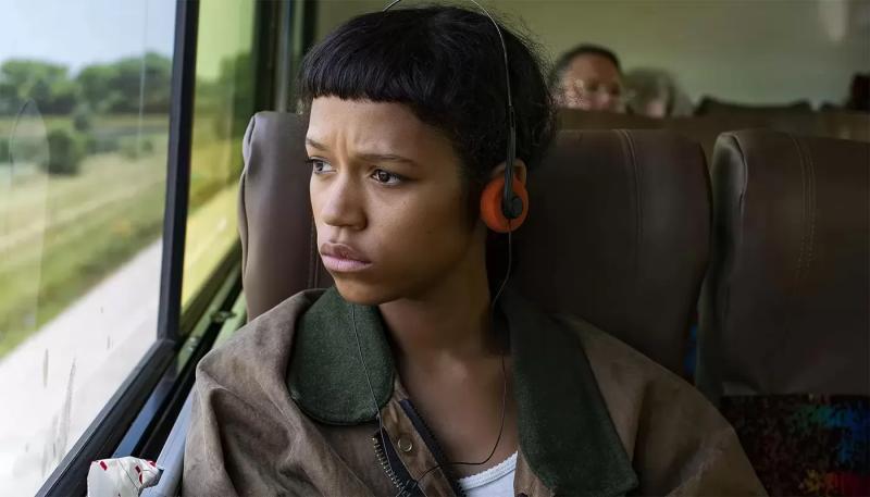 "Афера Томаса Крауна" лишилась звезды из-за ее романа с режиссером