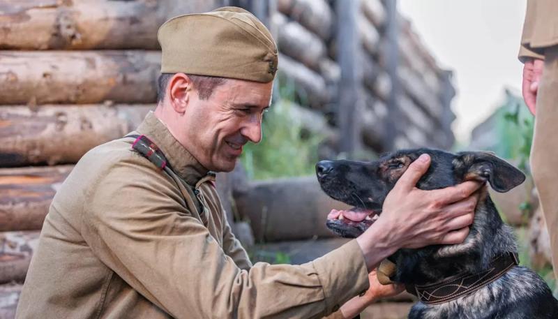Начались съемки военной драмы "Солдат по кличке Рекс"