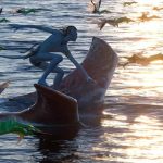 Режиссера «Аватара 3» Джеймса Кэмерона ужасает замена актеров ИИ