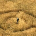 Стивен Спилберг представил трейлер фильма «Разоблачение»